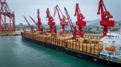 具有全国规模最大、工艺先辈的进境木材